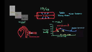 Kan Basıncı Tansiyon Nedir Sağlık Bilgisi ve Tıp Dolaşım Sistemi Fizyolojisi [upl. by Benoit899]