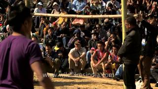 Five and a half foot bamboo bar meatkicking competition in Nagaland [upl. by Wendt]