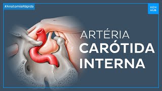 Artéria carótida interna  Anatomia Fácil  Kenhub [upl. by Aliuqet]