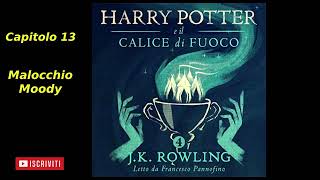 Harry Potter e il Calice di fuoco Audiolibro Italiano letto da Francesco Pannofino Capitolo 13 [upl. by Norrahc]