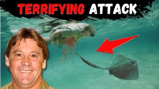 Steve Irwin death video NEW UNSEEN FOOTAGE [upl. by Groh10]