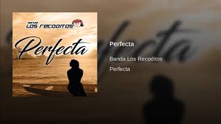 Banda Los Recoditos Perfecta [upl. by Faun]