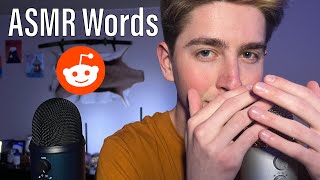 ASMR  Sensitive CloseUp Ear to Ear Whispering Trigger Words from Reddit [upl. by Eelrefinnej]