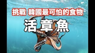 【韓國必吃1】 廣藏市場 挑戰最噁心會動的活章魚！韓國留學生  愛莉莎莎Alisasa [upl. by Eiramnaej667]