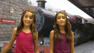 VARINHA HARRY POTTER CONTROLE REMOTO NOBLE COLLECTION REVIEW [upl. by Kilian102]