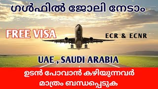 GULF JOBS MALAYALAMJOB VACANCY IN SAUDI ARABIAUAE JOBS MALAYALAMJOBS IN DUBAIABUDHABI JOBS [upl. by Rumpf725]