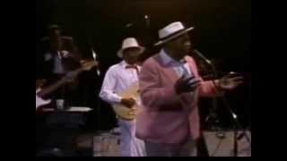 Willie Dixon Blues Band  Live Carey Bell Harmonica [upl. by Tilney]