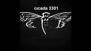 cicada 3301 the music [upl. by Waylan]