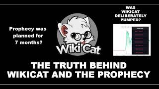 The Truth Behind Wiki Cat and the Prophecy [upl. by Danni485]