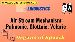 Air Stream Mechanism Pulmonic Glottaic Velaric  Organs of Speech  Linguistics [upl. by Obadias]