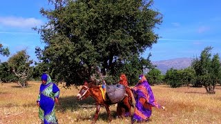 Argan oil producer in Morocco OLVEAs supply chain [upl. by Ziza]