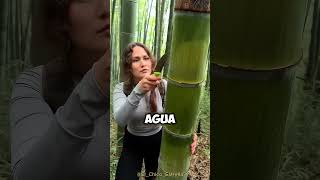 Este video te hará SOBREVIVIR en la JUNGLA 🤯👏 [upl. by Ykcaj83]