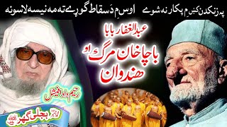 Molana Bijligar رحمۃاللہ علیہ pashto bayan باچا خان مرگ [upl. by Gosney]