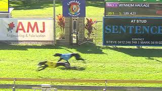 Capalaba24072024Race3 [upl. by Blanche]