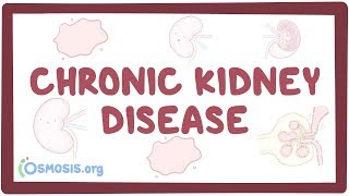 Chronic kidney disease  causes symptoms diagnosis treatment pathology [upl. by Dubenko103]