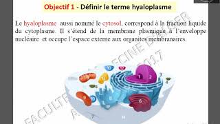 Hyaloplasme 1 [upl. by Aloz]