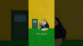 I HATE ZIOLES GAMBLING 😭 Doge Gaming [upl. by Neva172]