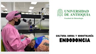 Cultura Sorda y Odontología quotEndodonciaquot [upl. by Barbette]