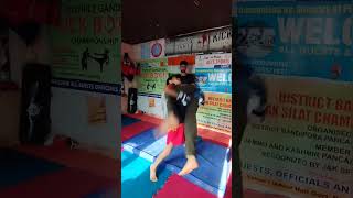 wushu training hardwork motivation [upl. by Airbas263]