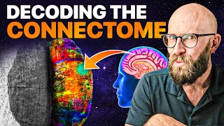 The Connectome The Herculean Task of Modeling a Brain [upl. by Johnathon]