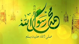 12 Rabi Ul AwaL New Vlog  12 Rabi Ul AwaL In Faisalabad [upl. by Mutat922]