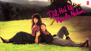 Dil Hai Ki Manta Nahin Full Audio Song Female Version  Anuradha Paudwal  Aamir Khan Pooja Bhatt [upl. by Enaitsirk]