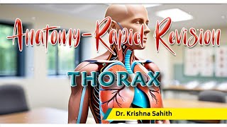 Anatomy of Thorax Rapid Revision  Dr Krishna Sahith [upl. by Joletta]