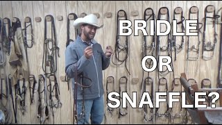 Bridle VS Snaffle  Something You May Not Have Known [upl. by Ardnic265]