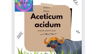 Aceticum acidum part1my notes😍 [upl. by Nylecaj]