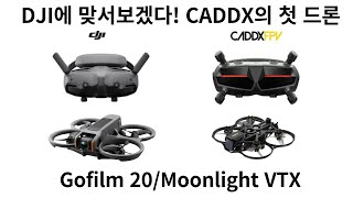 CADDX의 첫 FPV 드론 완성품 Gofilm20 날려봤습니다 [upl. by Lenci]