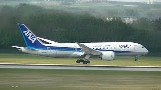 All Nippon Airways ANA Boeing 787 Dreamliner Flight NH275 from Tokyo to Munich  München JA828A [upl. by Terena]