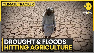 Climate change causing world hunger  WION Climate Tracker [upl. by Alesiram283]