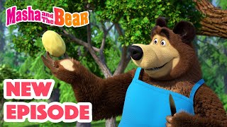 Masha and the Bear 2024 🎬 NEW EPISODE 🎬 Best cartoon collection 🥔 Soup Pursuit 🥕🍲 [upl. by Ongun]