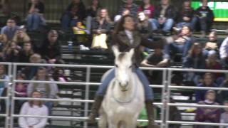 Caroline Rider  Timonium HorseWorld Expo [upl. by Scot327]