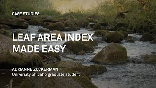 Leaf Area Index made easy with the LP80 ceptometer [upl. by Jorie981]