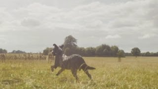 Fenton the Dog video spoofed in HD ad for new 4G network EE [upl. by Eelatsyrc]