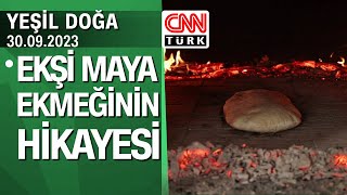 Ekşi maya ekmeğinin hikayesi Manisa Mahmutlar Köyü  Yeşil Doğa 30092023 Cumartesi [upl. by Alinna]