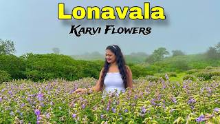 Karvi Flowers Festival Vlog  Lonavala  Best Place to visit in lonavala 🌸 [upl. by Colene350]