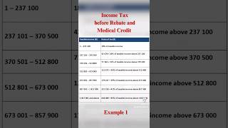 Calculating Income Tax Example 1 Math Literacy Grade 12 mathsliteracy [upl. by Sajovich414]