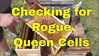 Checking for Rogue Queen CellsThat Bee Man [upl. by Nnelg449]