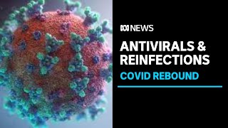 Testing positive for COVID after completing antiviral treatment  ABC News [upl. by Novonod]