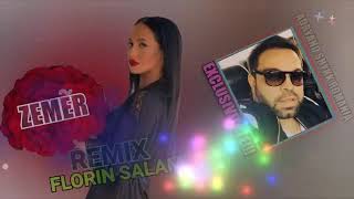 florin salam remix zemercover [upl. by Gebler733]