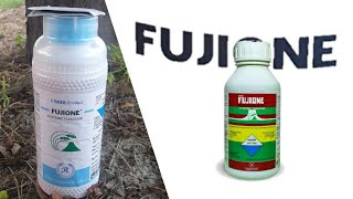 Fujione  isoprothiolane 40 EC Fungicide  Rallis India  TATA  Dose  Time of use [upl. by Neidhardt]