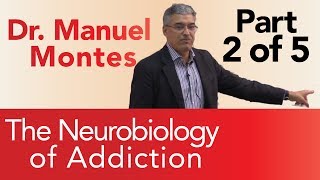 Dr Montes Neurobiology of Addiction Part 2 of 5  The Treatment Center [upl. by Annyl823]