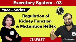 Excretory System 03  Regulation Of Kidney Function  Micturition Reflex  Class 11  NEET [upl. by Brost634]