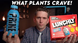 The Truth About Electrolytes PRIME and Lunchly  Doctor Explains [upl. by Querida]