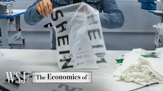 How Shein Built a 66B FastFashion Empire  WSJ The Economics Of [upl. by Rumit876]