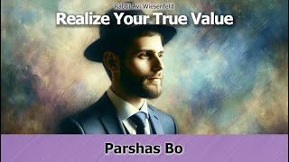 🗣 Rabbi Avi Wiesenfeld 📜 Bo 💎 Realize Your True Value [upl. by Inimod98]