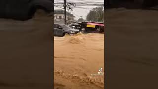 Ford Ranger Raptor Driving Through Flood shorts shortsvideo [upl. by Leonore535]