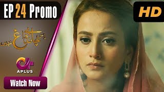 Drama  Is Chand Pe Dagh Nahin  EP 24 Promo  Aplus  Zarnish Khan Firdous Jamal  C2W1 [upl. by Aruon]